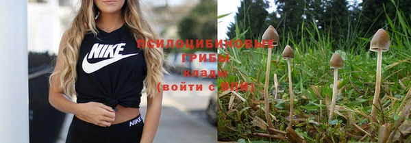 крисы Балабаново