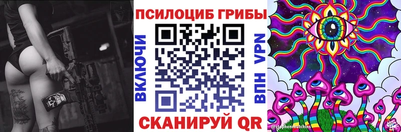 кракен ONION Калининец Псилоцибиновые грибы Psilocybine cubensis